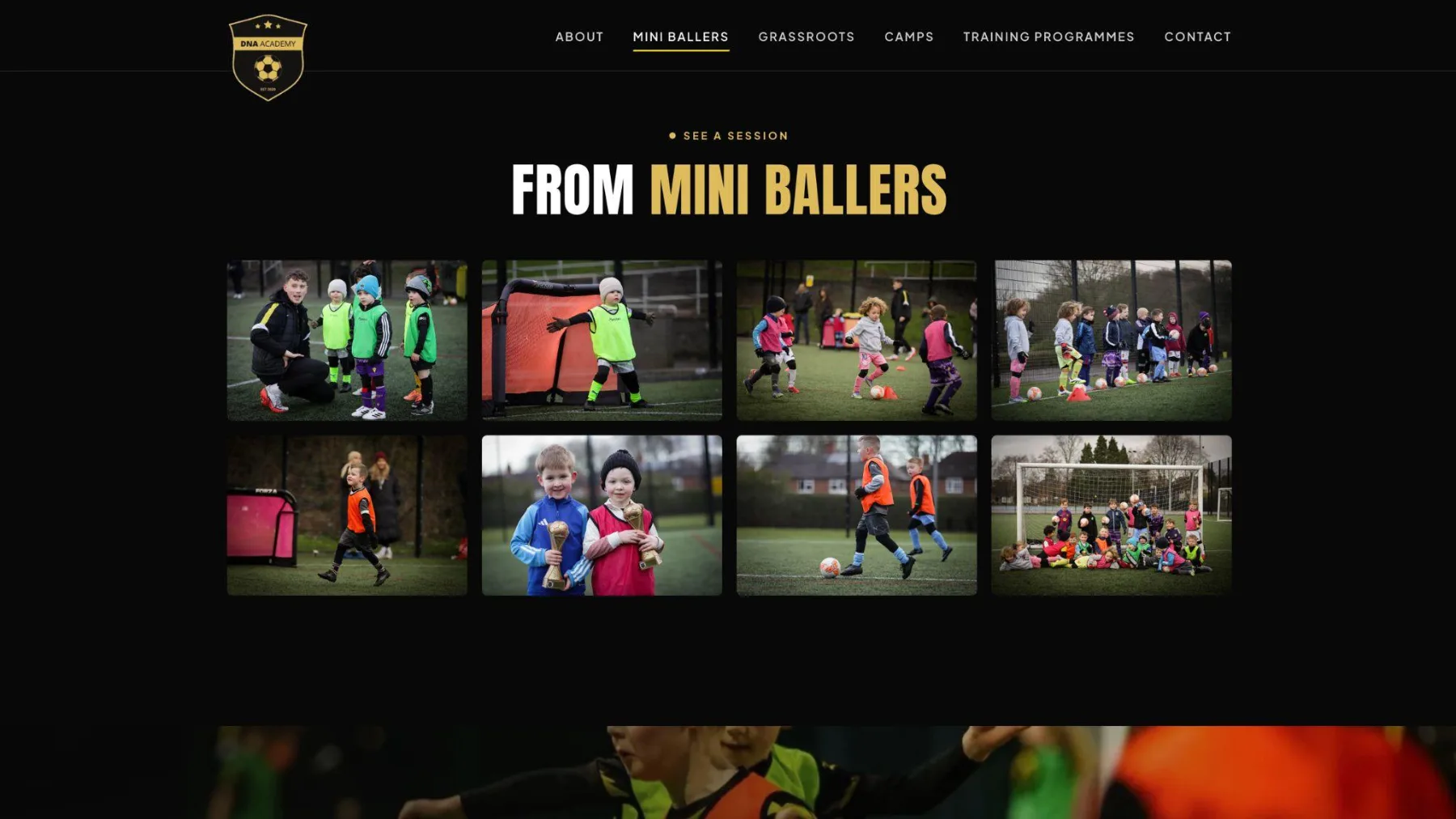 DNA Academy grassroots squads page showing training days, times and venues